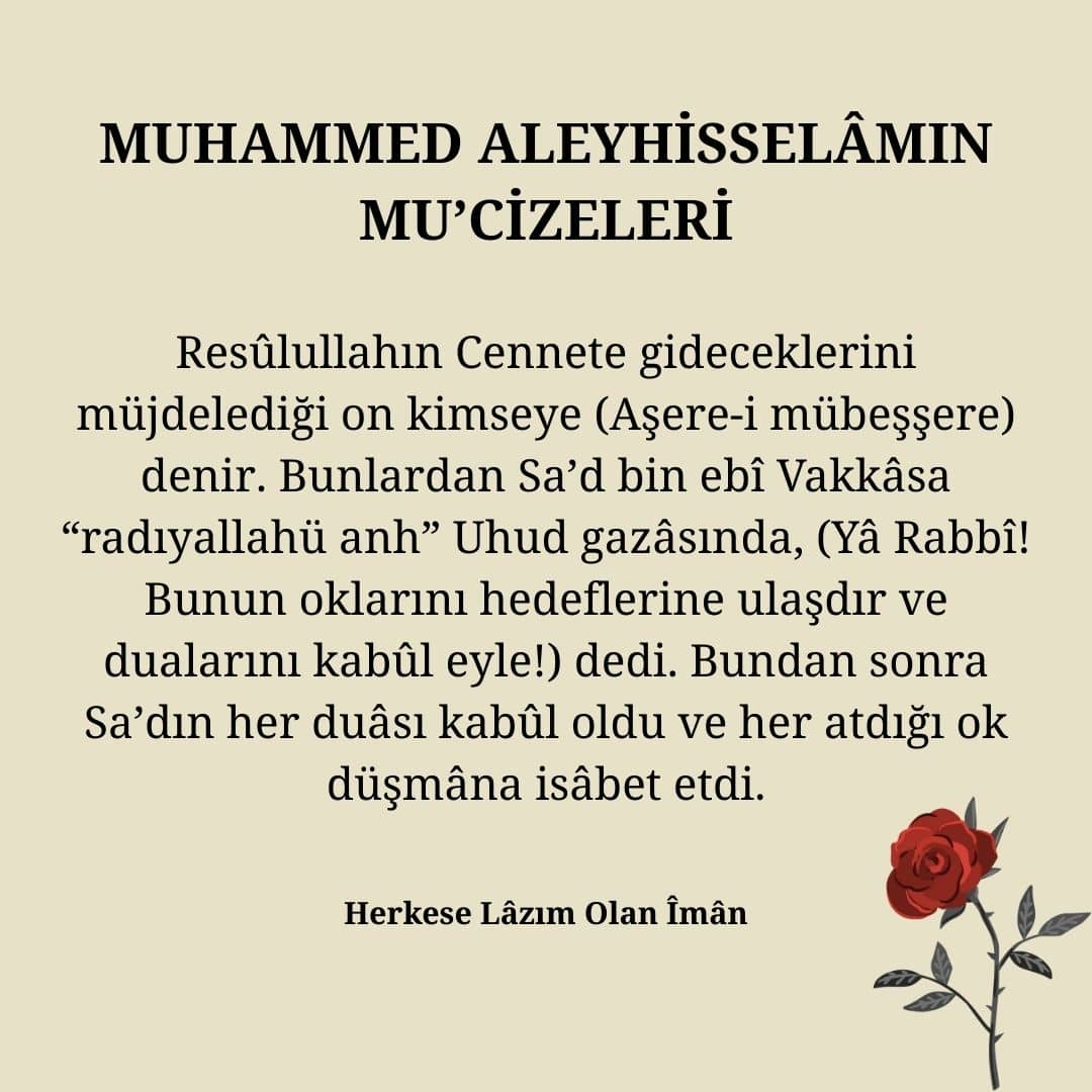 Mucizeleri (22)